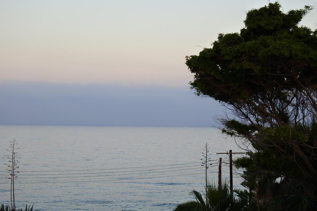 Kissonerga Beach Apartment Πάφος Εξωτερικό φωτογραφία